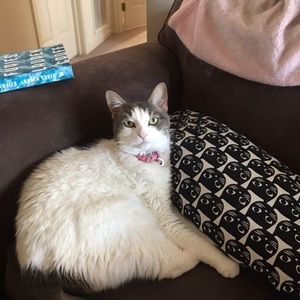 Meet your Posher, Alison